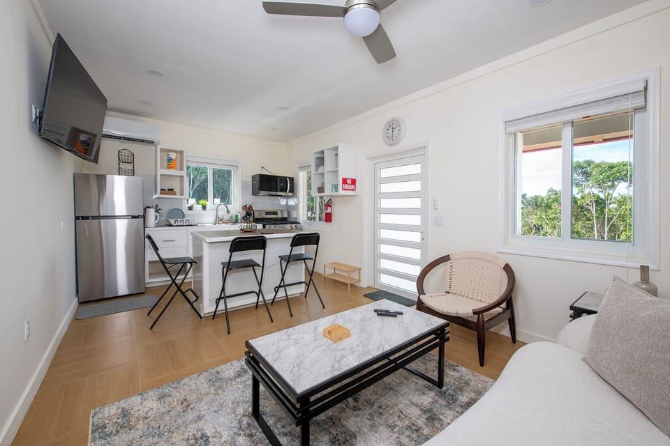 Living area and kitchen.