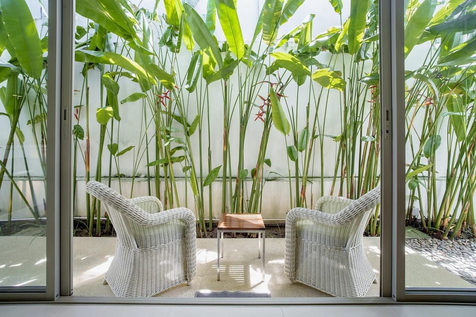 Backyard, Outdoor Furniture