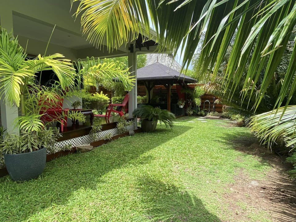 View of the garden