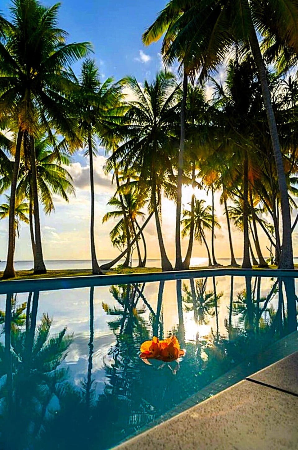 The view from your pool is idyllic, reflecting the natural beauty of Polynesia. Paradise is at Villa Prestige Fara Iti in Rangiroa! A nugget to discover, where luxury, calm and pleasure reign.