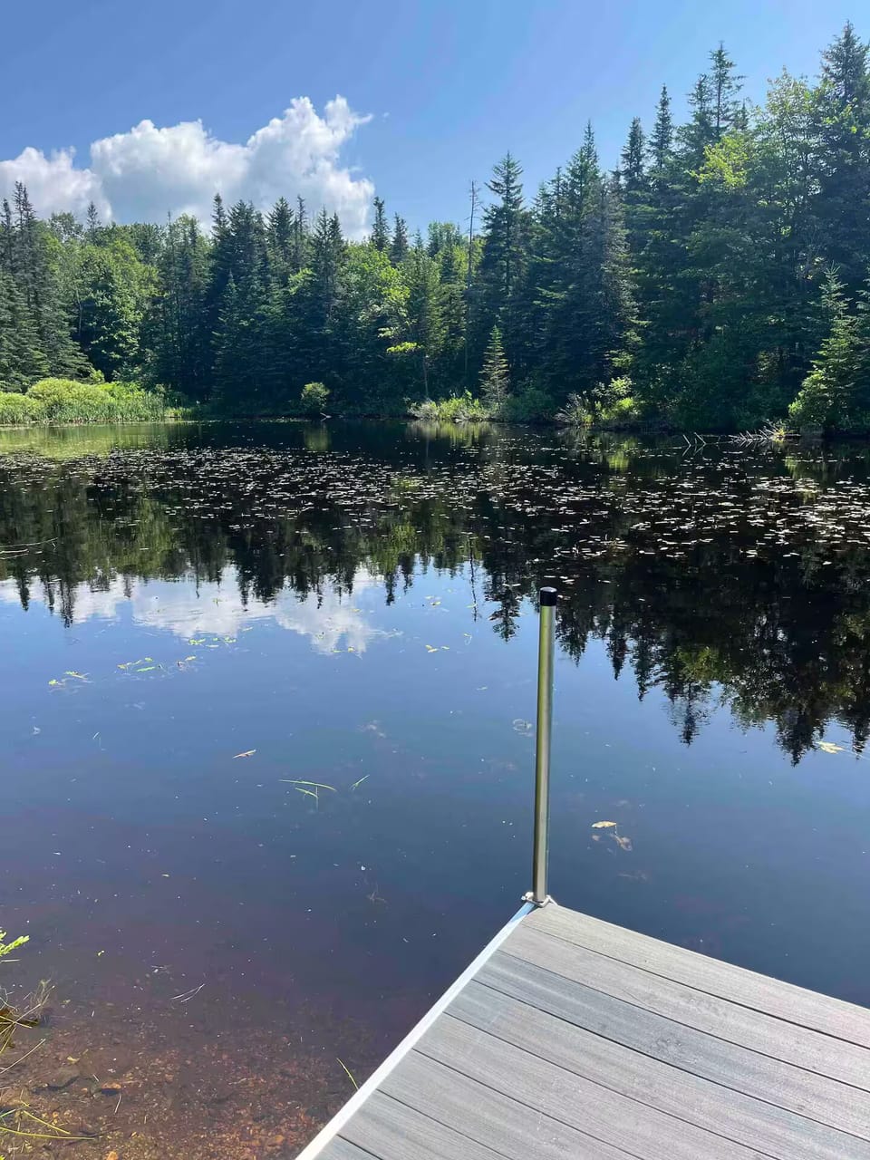 pond for canoeing and fishing