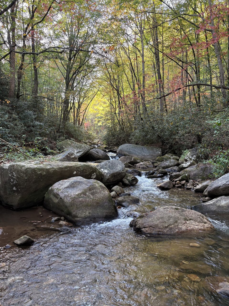 Jones Gap State Park (pictured), Lakes, and Paris Mt all within 30-50 min drive