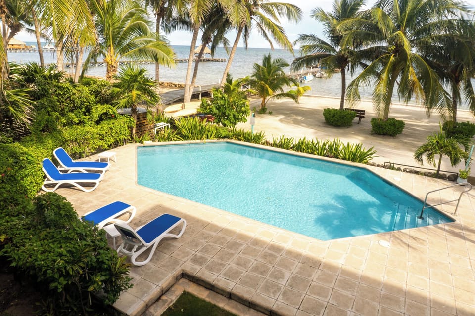 Pool with a great ocean and reef view.  Ample shade and sun on swim deck.