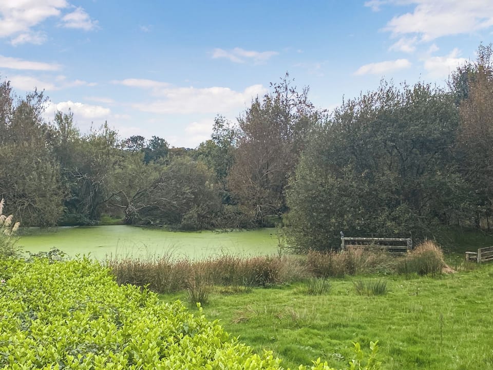 View | Swallows, Portscatho