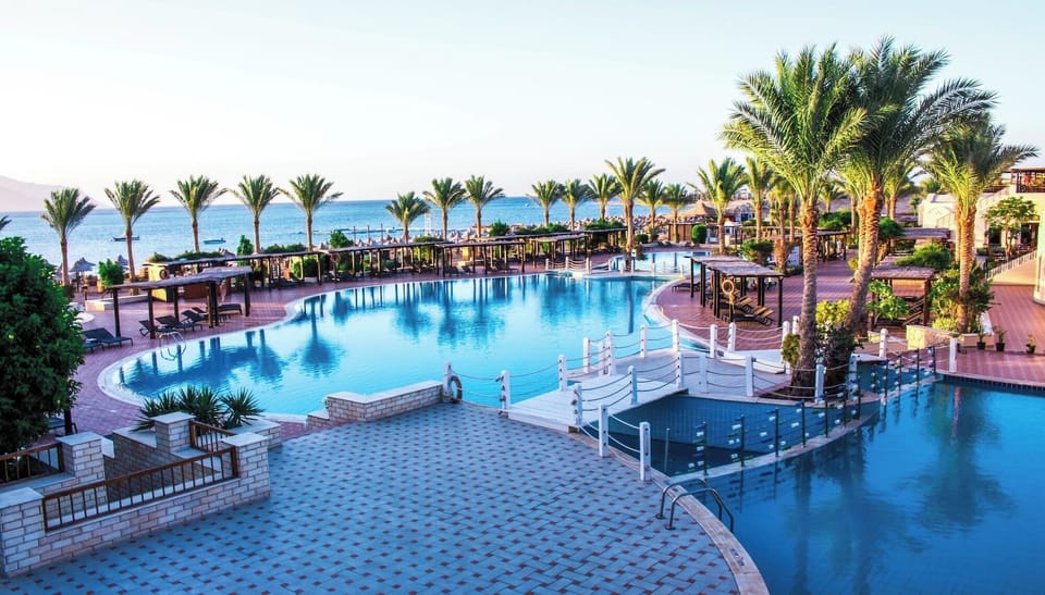 Dive into a palm-lined lagoon pool with sea views.