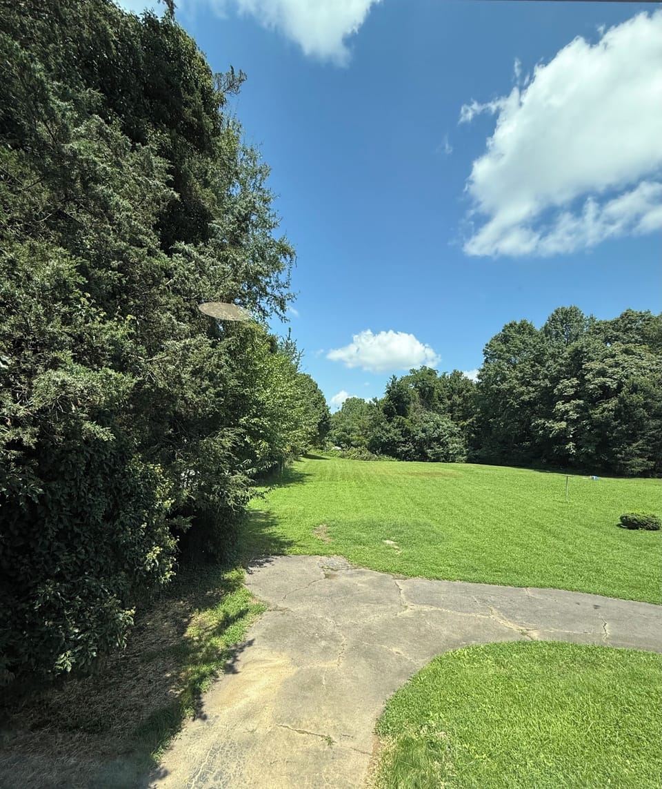 Spacious.5 acre of back yard.  Fire pit & 4 chairs, volleyball tent (not pic)
