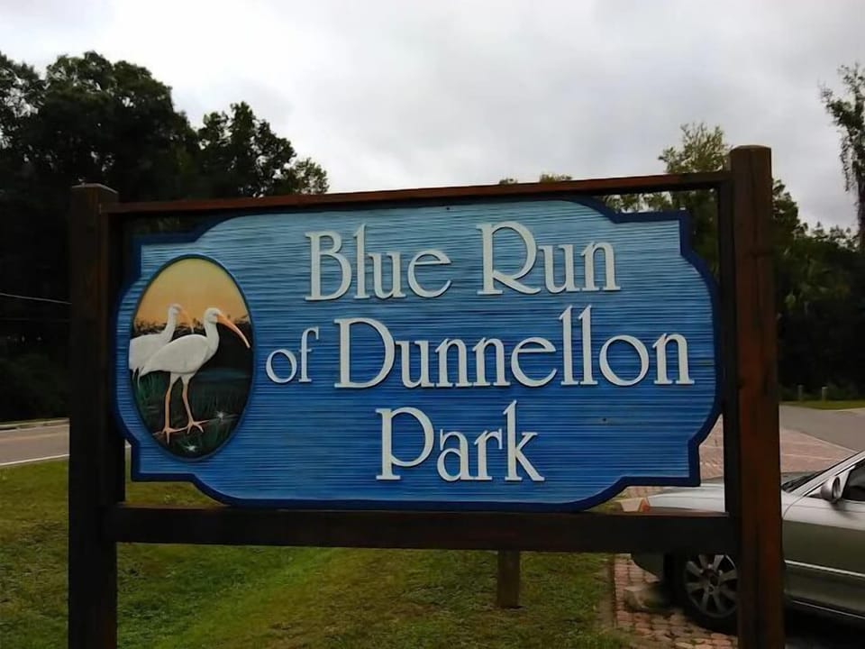 Blue Run of Dunnellon—just a short walk across the bridge from your stay