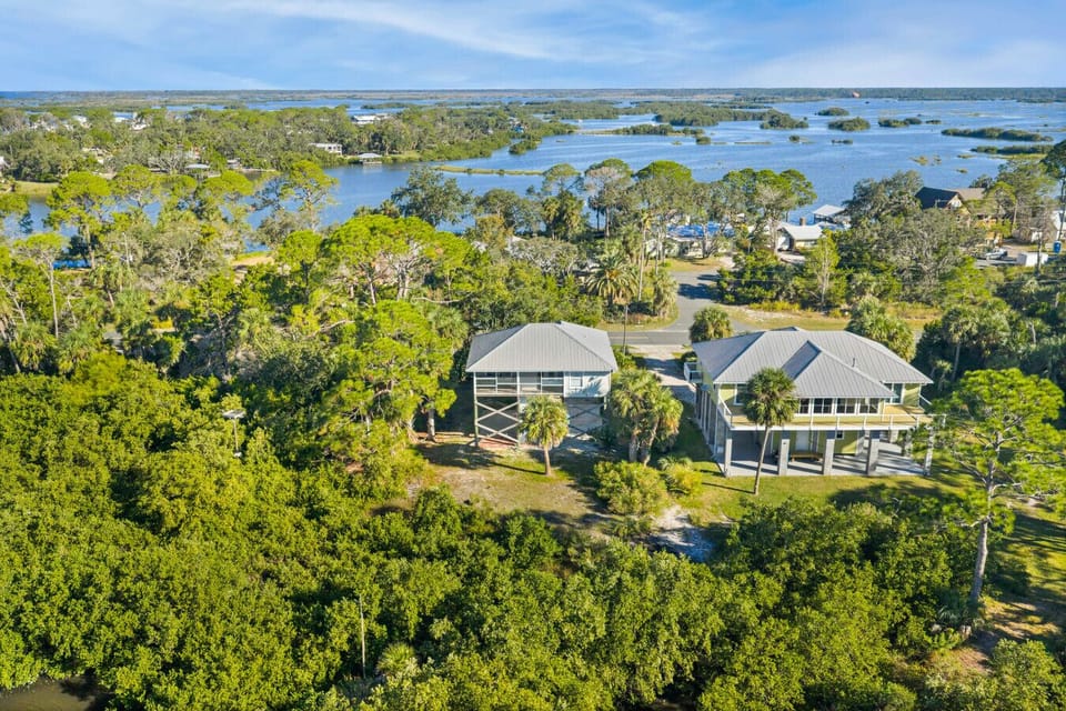 Palms, Palms & Palms!