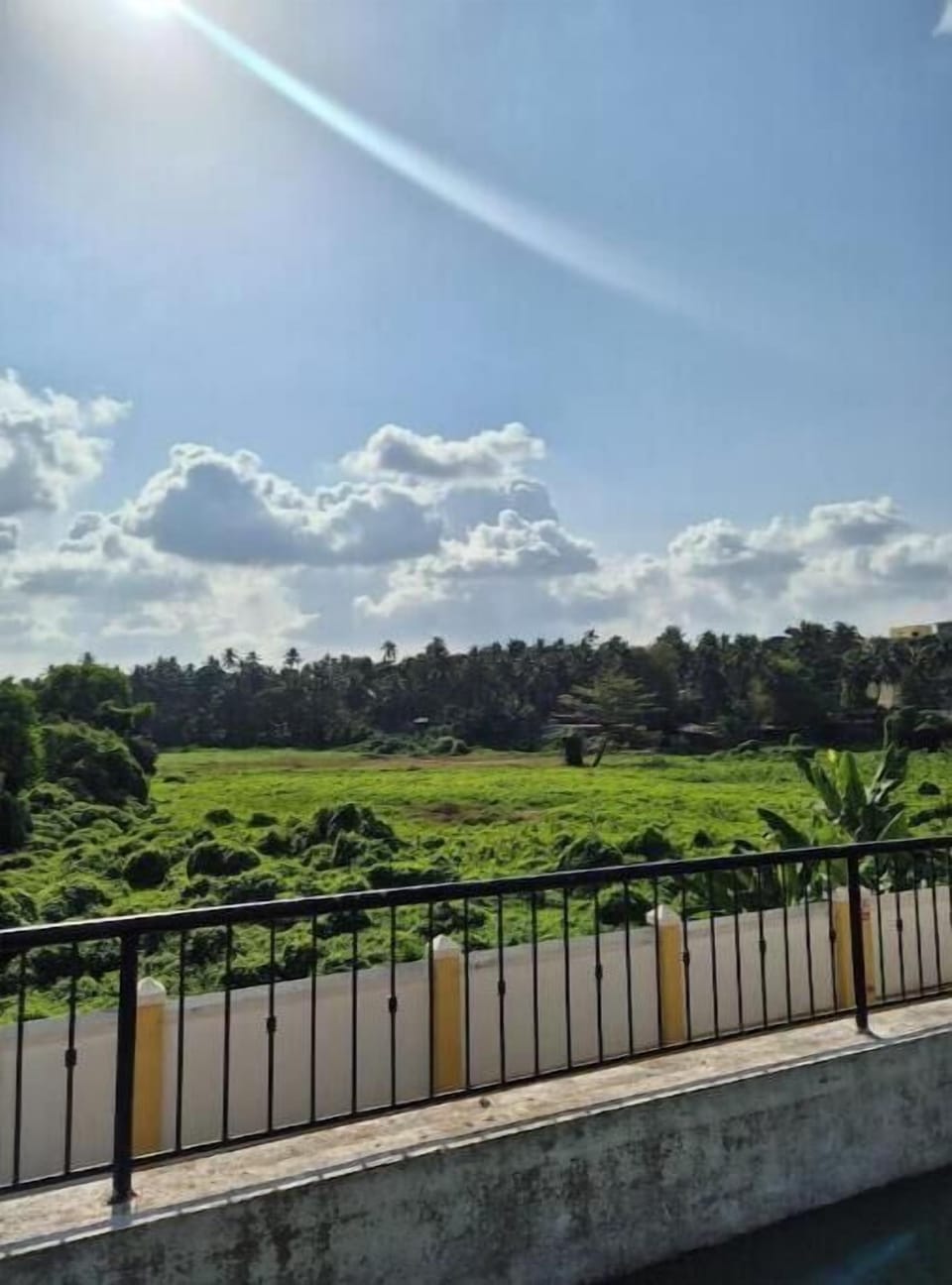 View from property