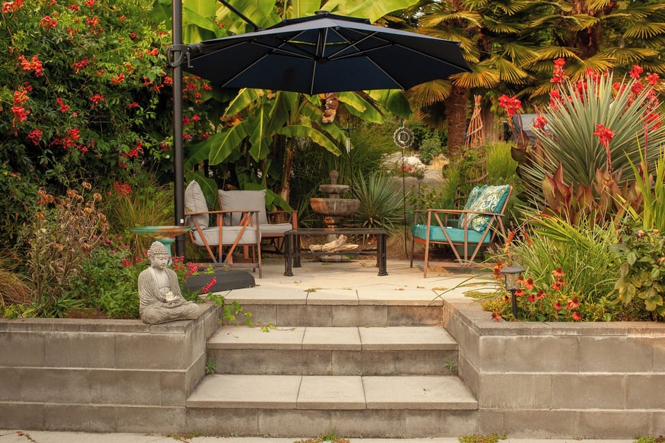 Tropical gardens with giant Palms, Bananas, Cana Lilys & others.