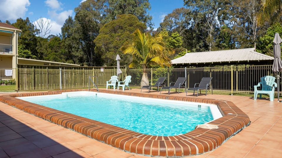 Swimming pool surrounded by sun loungers and palm trees.