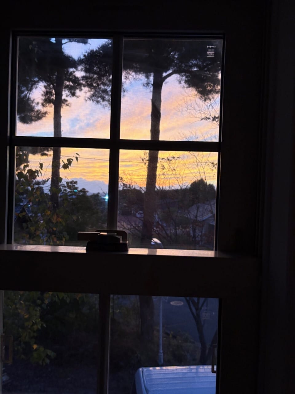 View from the bedroom window