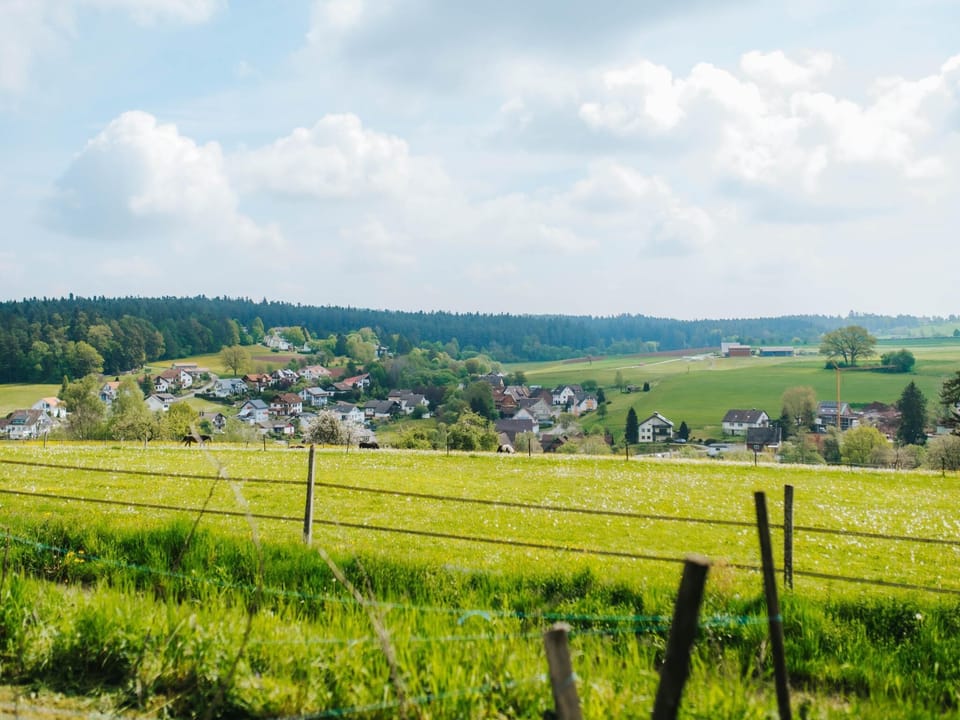 View from Holiday Home [summer]