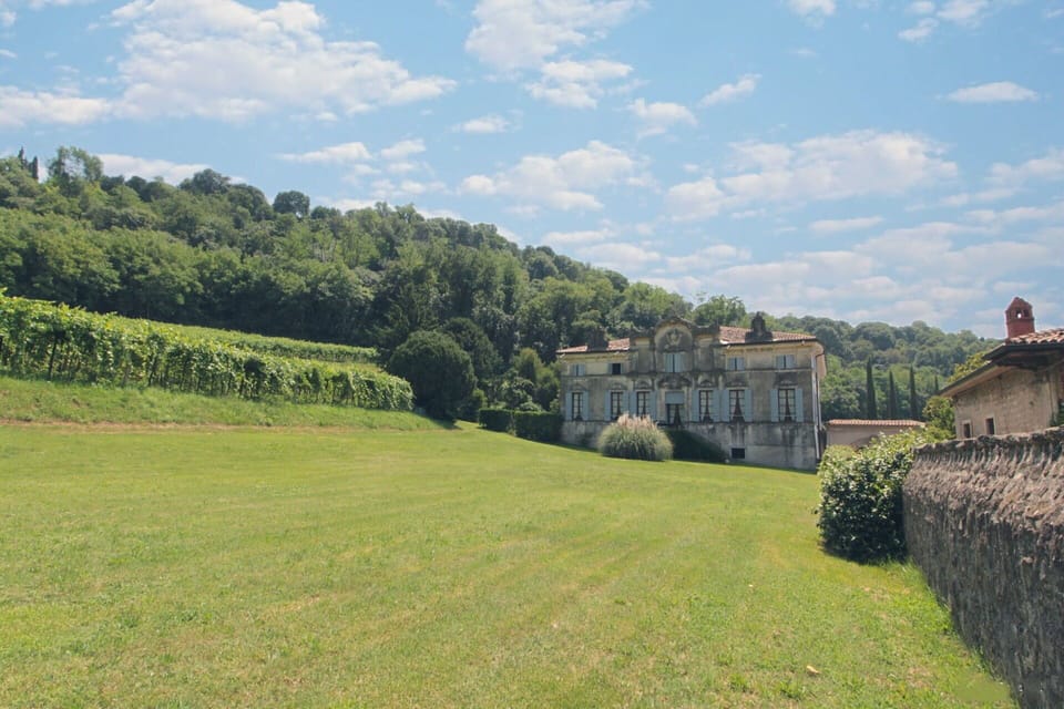 Autumn, Garden, Spring, Summer