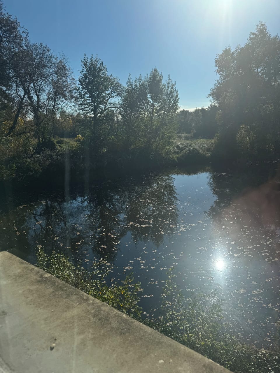 View from property