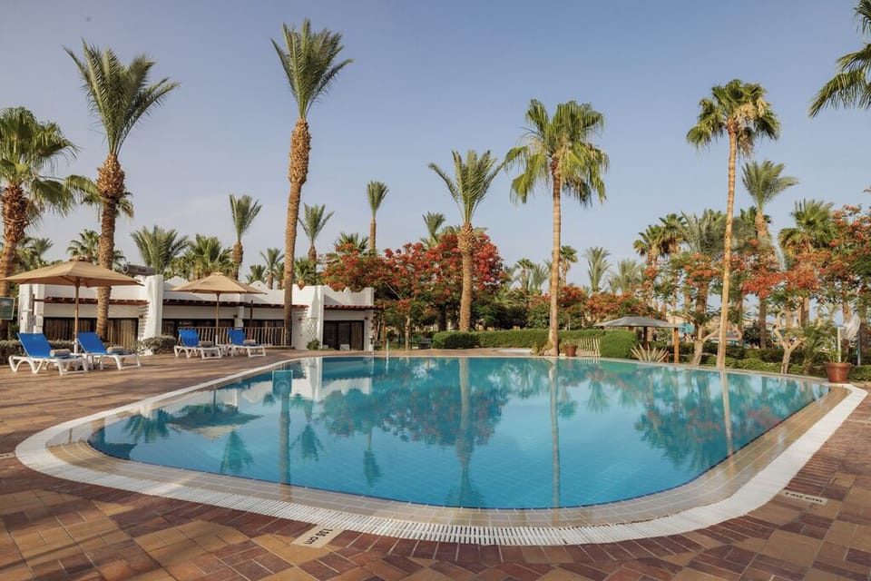 Soak up calm mornings by the mirror-still palm-lined pool.
