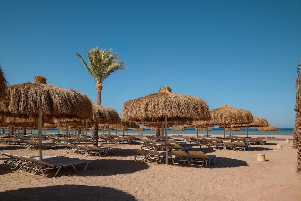 Dive into a sparkling pool with plenty of sun loungers.