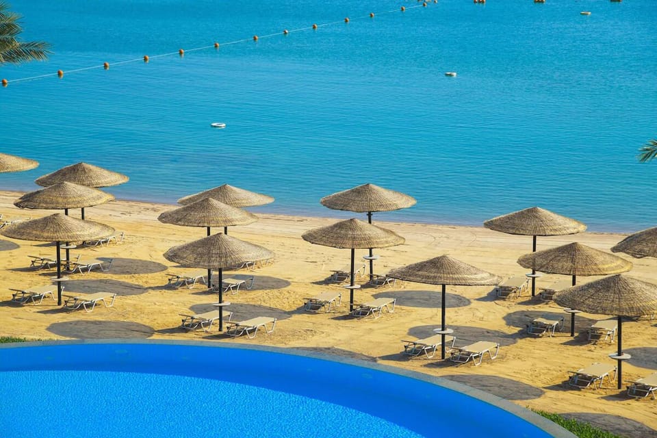 Lounge beneath palm-framed umbrellas on soft golden sand.