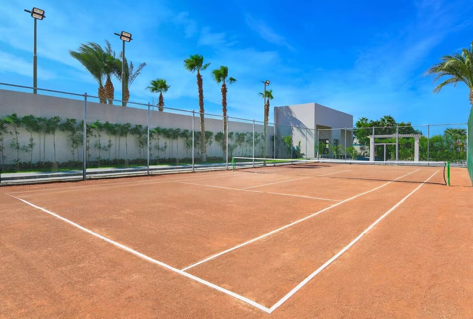 Play a match on the sunlit court framed by palms.