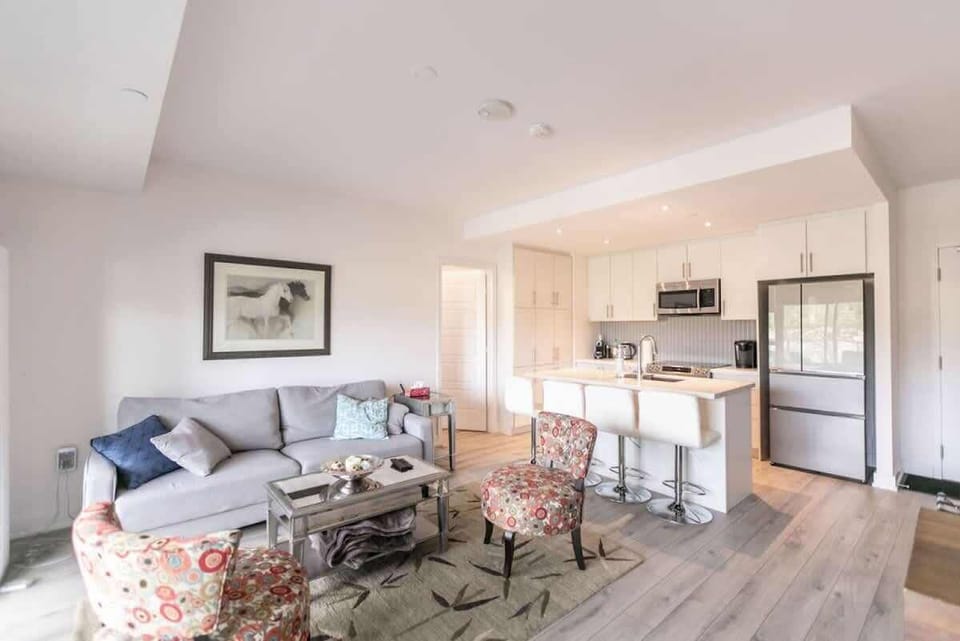 Modern open concept living space featuring a cozy sofa bed