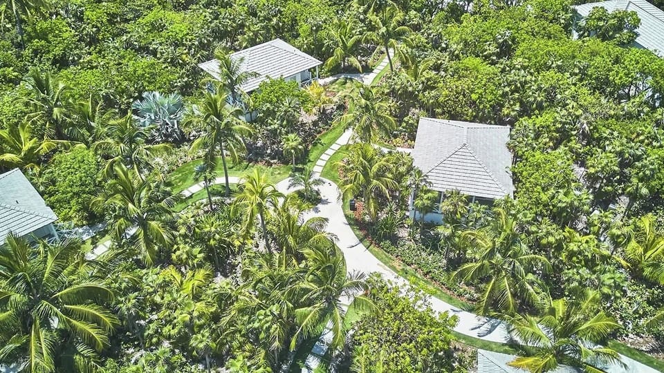 Take in the serene resort layout nestled within tropical canopy.