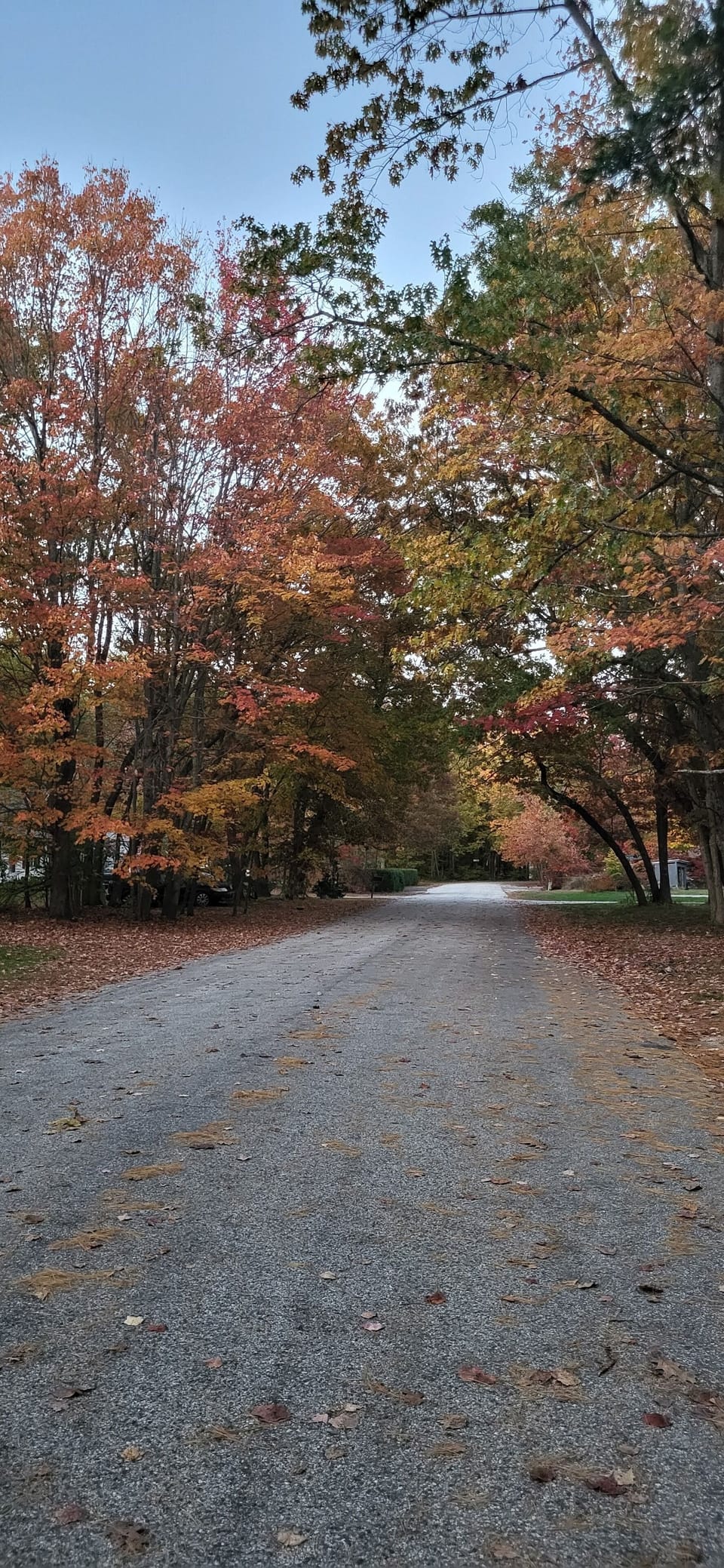 Walking down our road