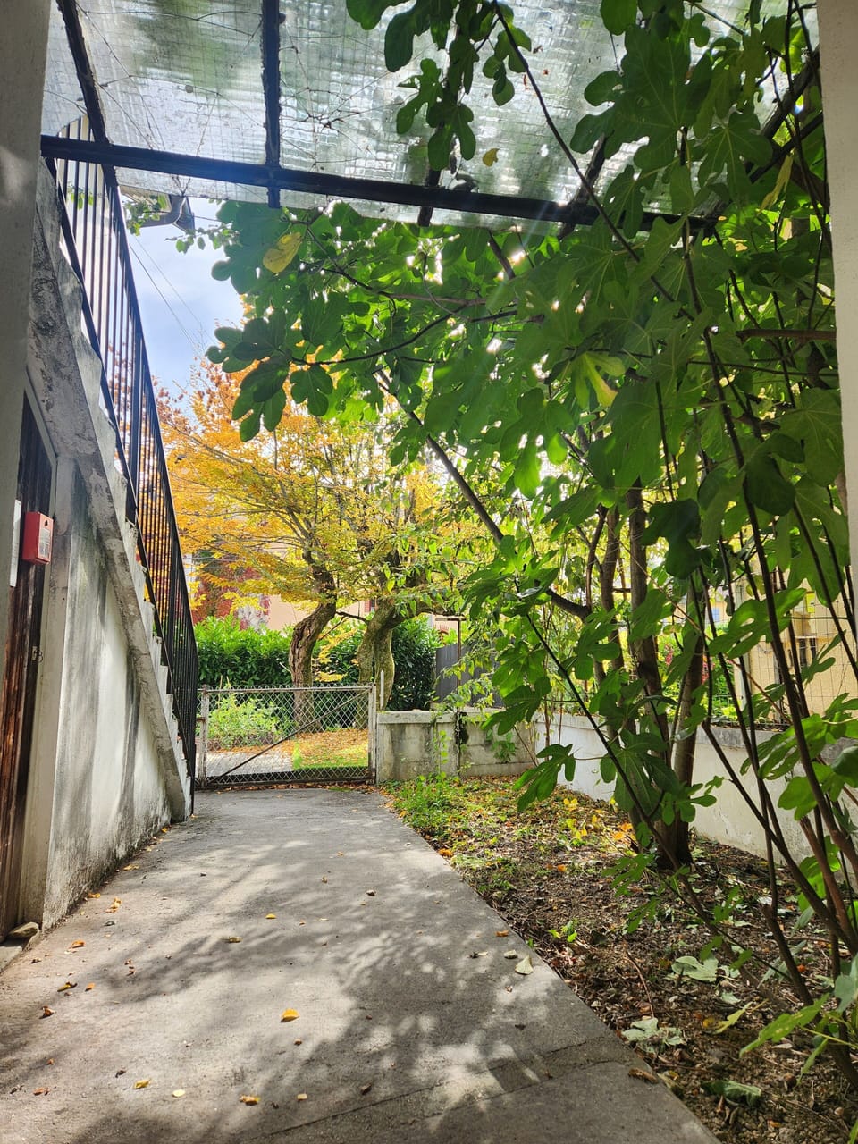 Property grounds