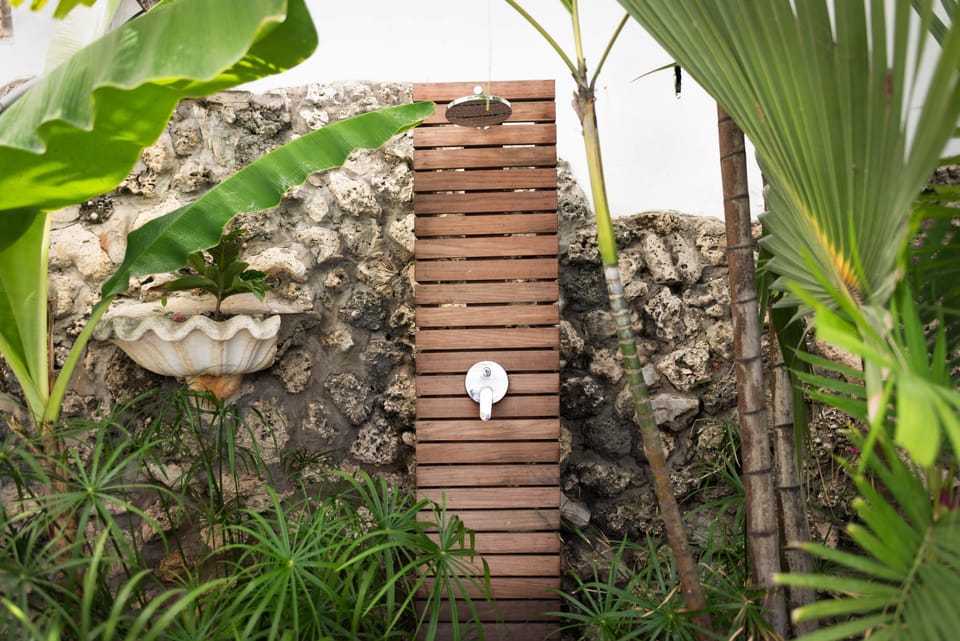 Outdoor Shower 