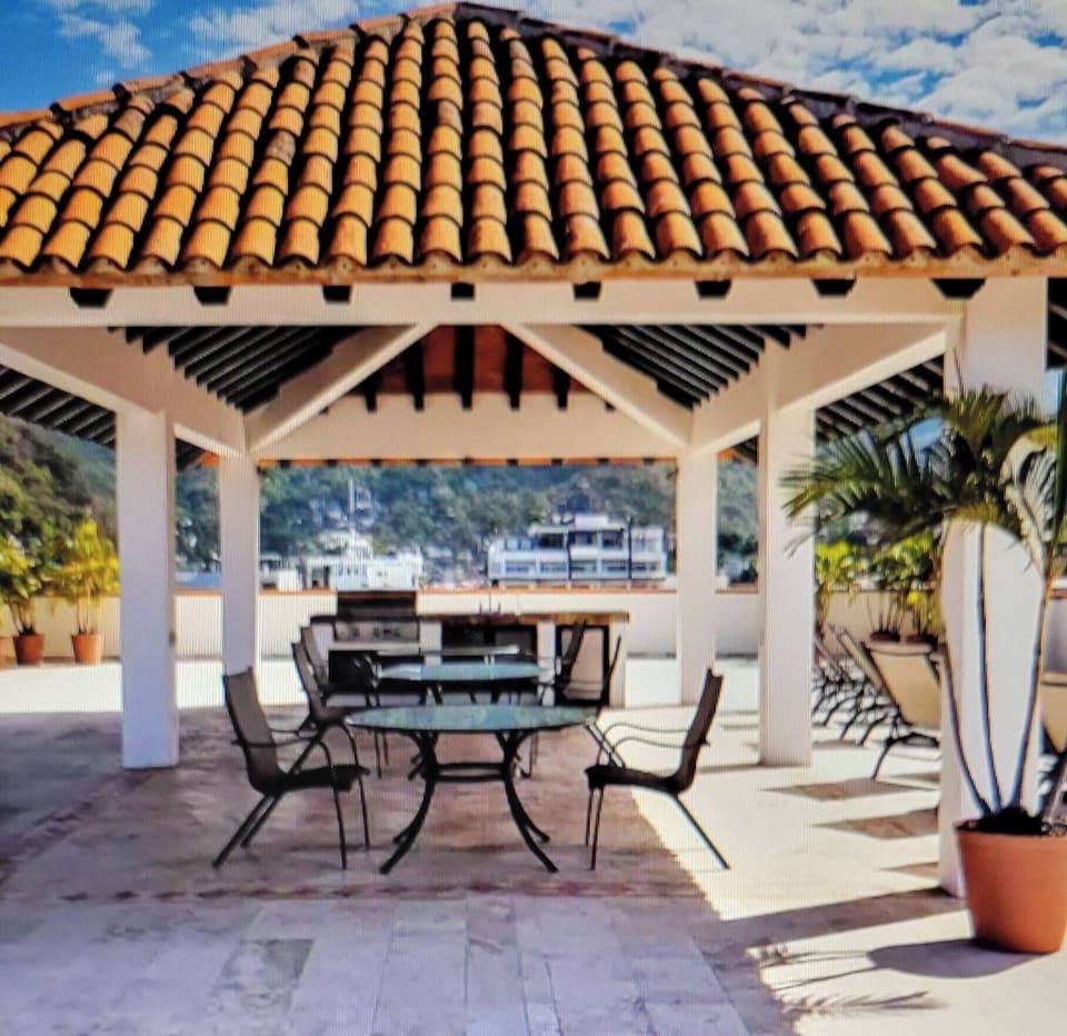 BBQ and Palapa at rooftop Heated pool