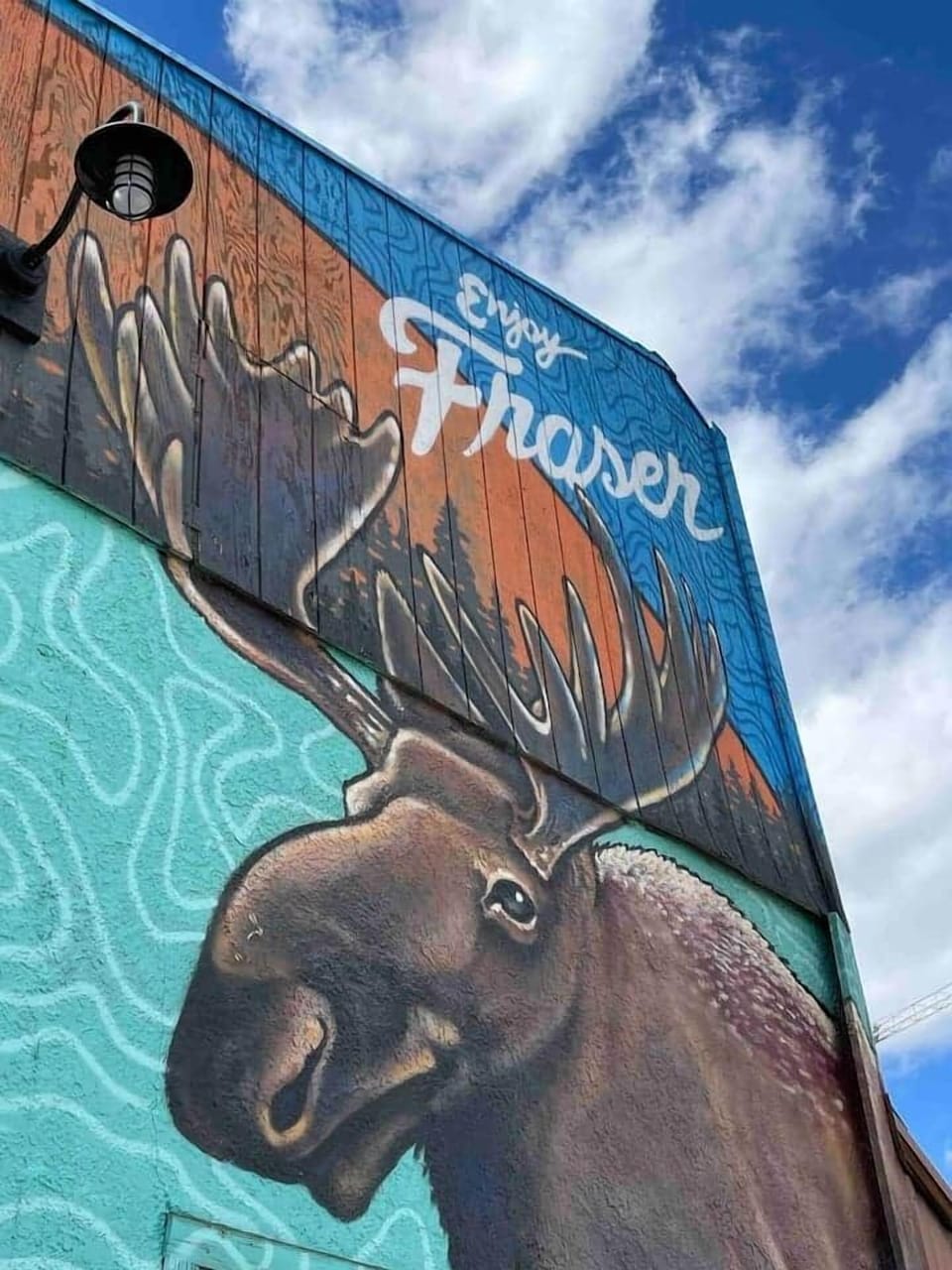 Explore downtown Fraser with plenty of cute shops, breweries, restaurants, and easy access to the Fraser River Trail.