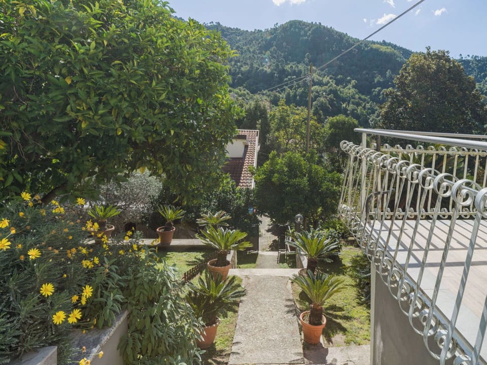 Leaf, Vegetation, Shrub, Flowerpot, Garden, Shade, Landscaping, Houseplant