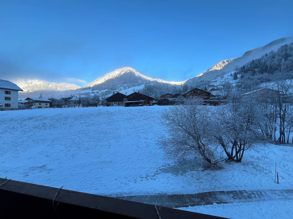 View from property