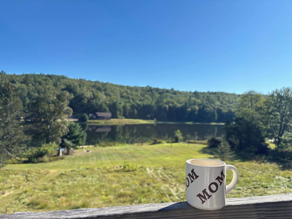View from property