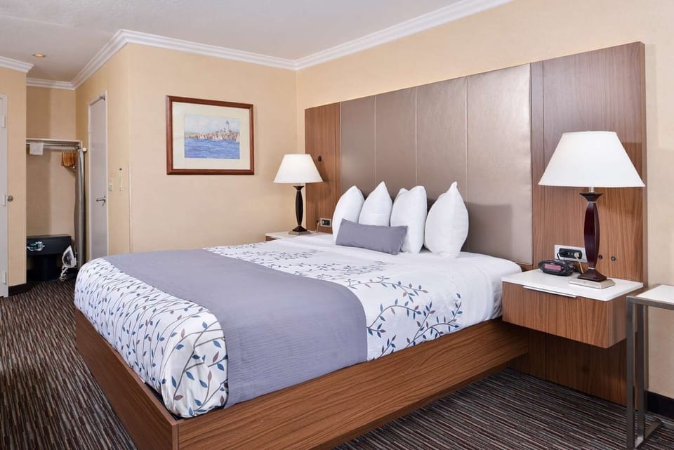Kick back with in-room entertainment and calming natural daylight.