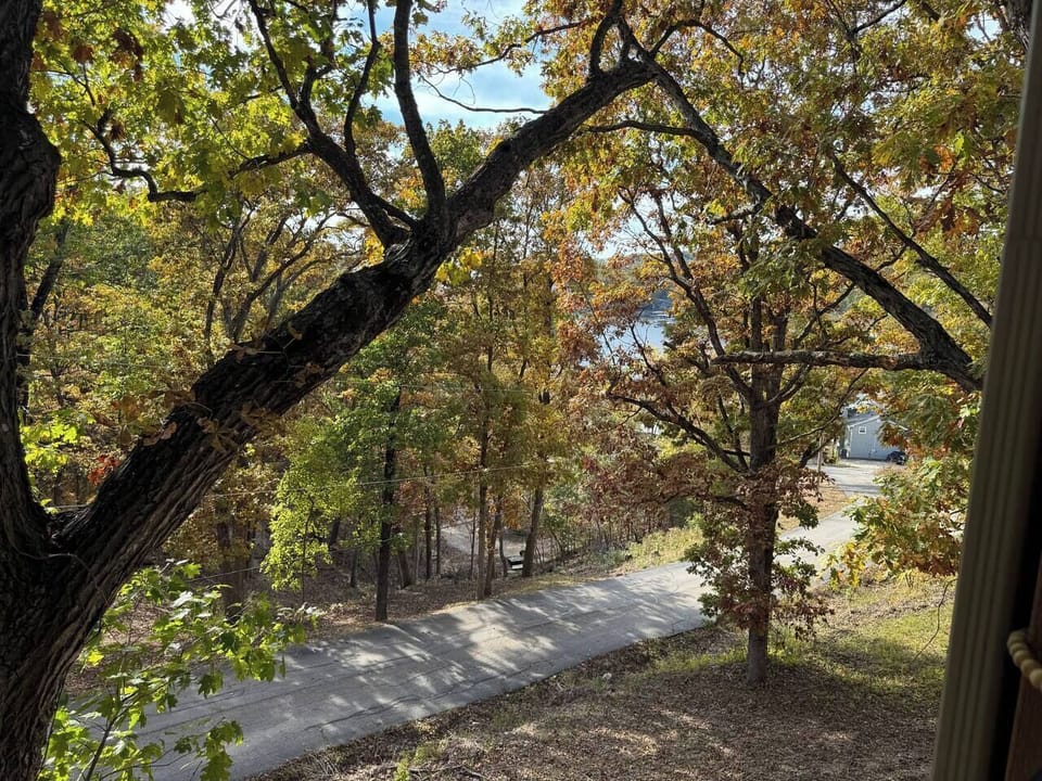 View from property