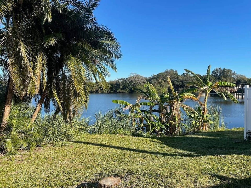 Peaceful private lake view with lush tropical plants - a calm, natural setting.