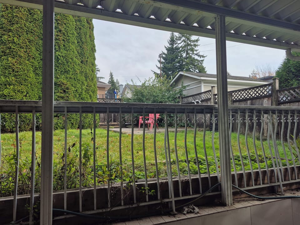 Back Yard 1