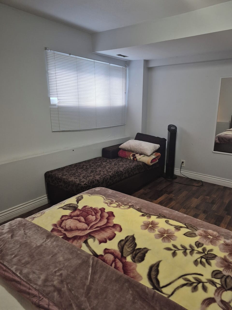 Queen Bed and Sofa Bed in Bedroom