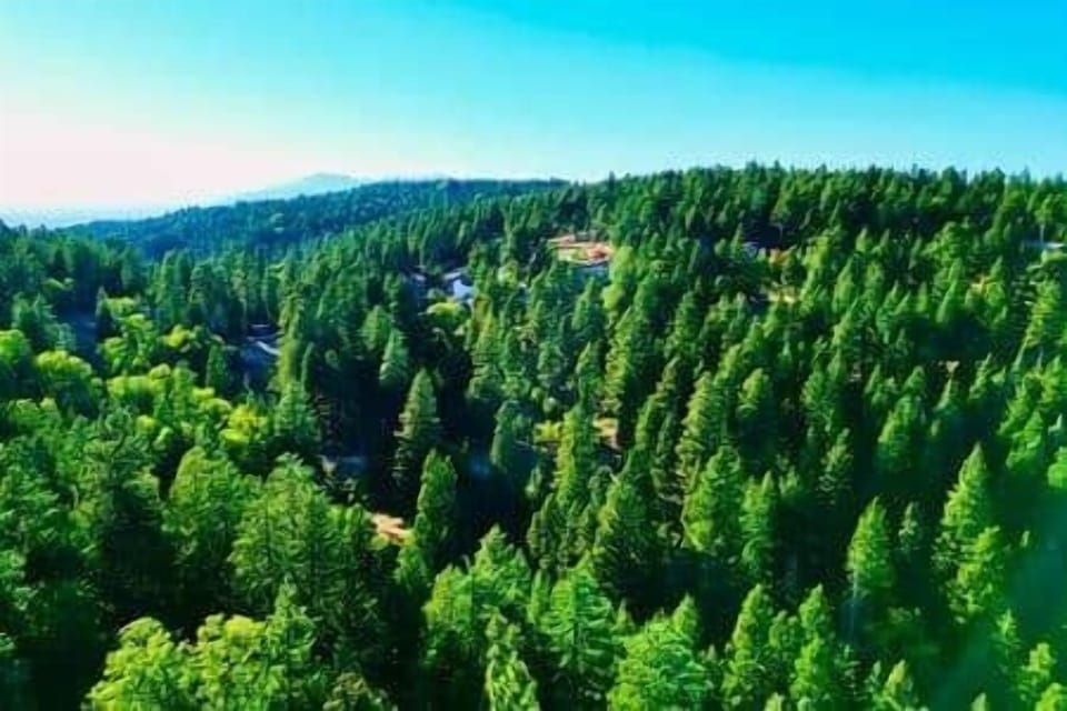 B5bd5a36 a7b7 4149 bd9e ecacd605febb