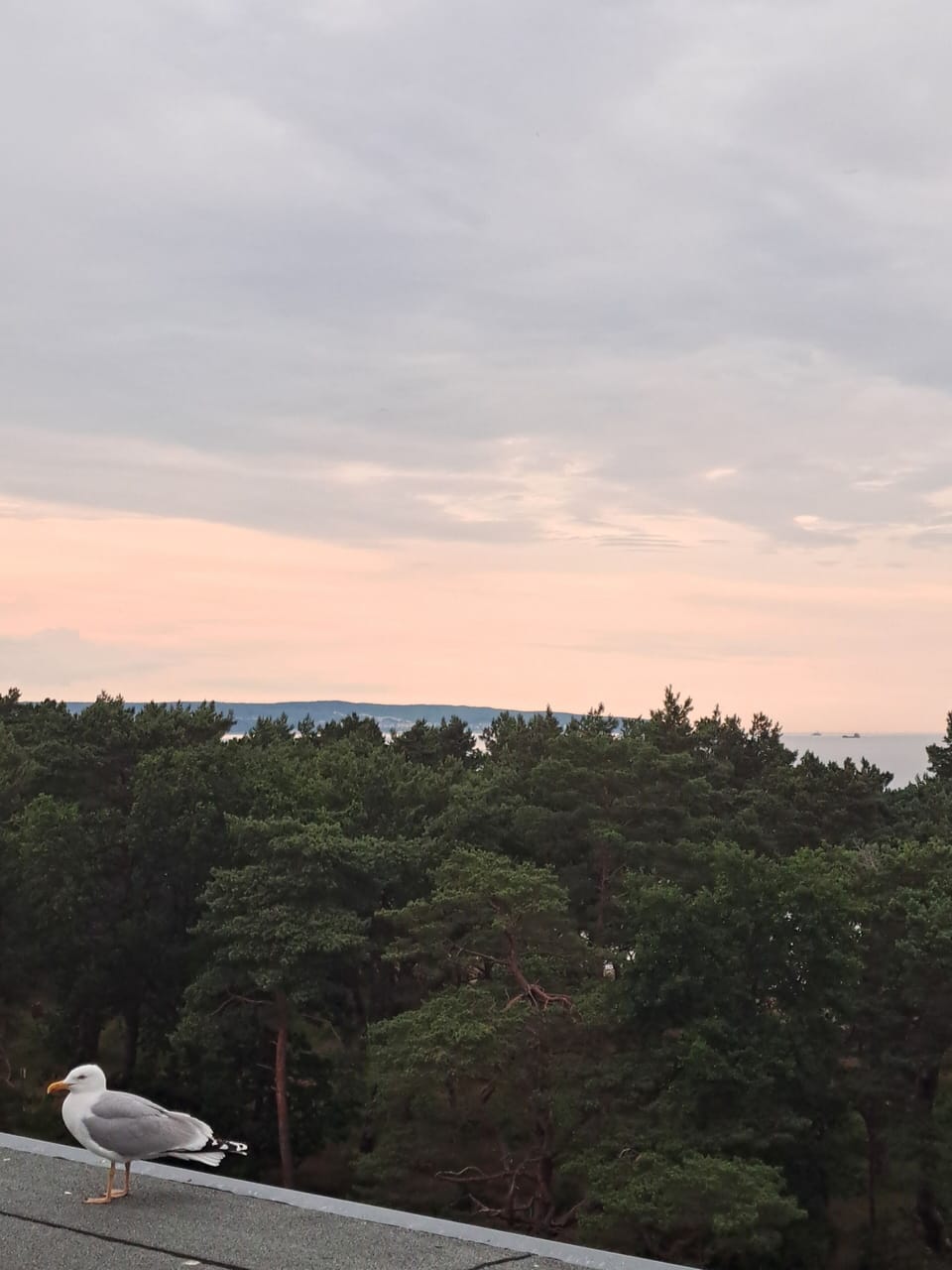 Miscellaneous