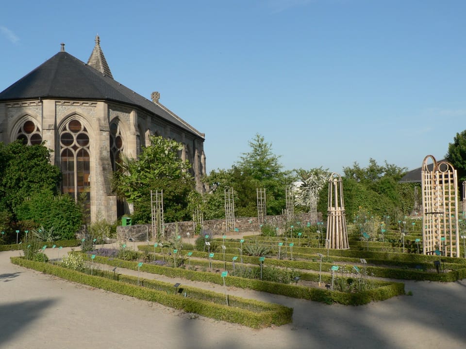 Explore beautiful nearby gardens for a relaxing afternoon outing.