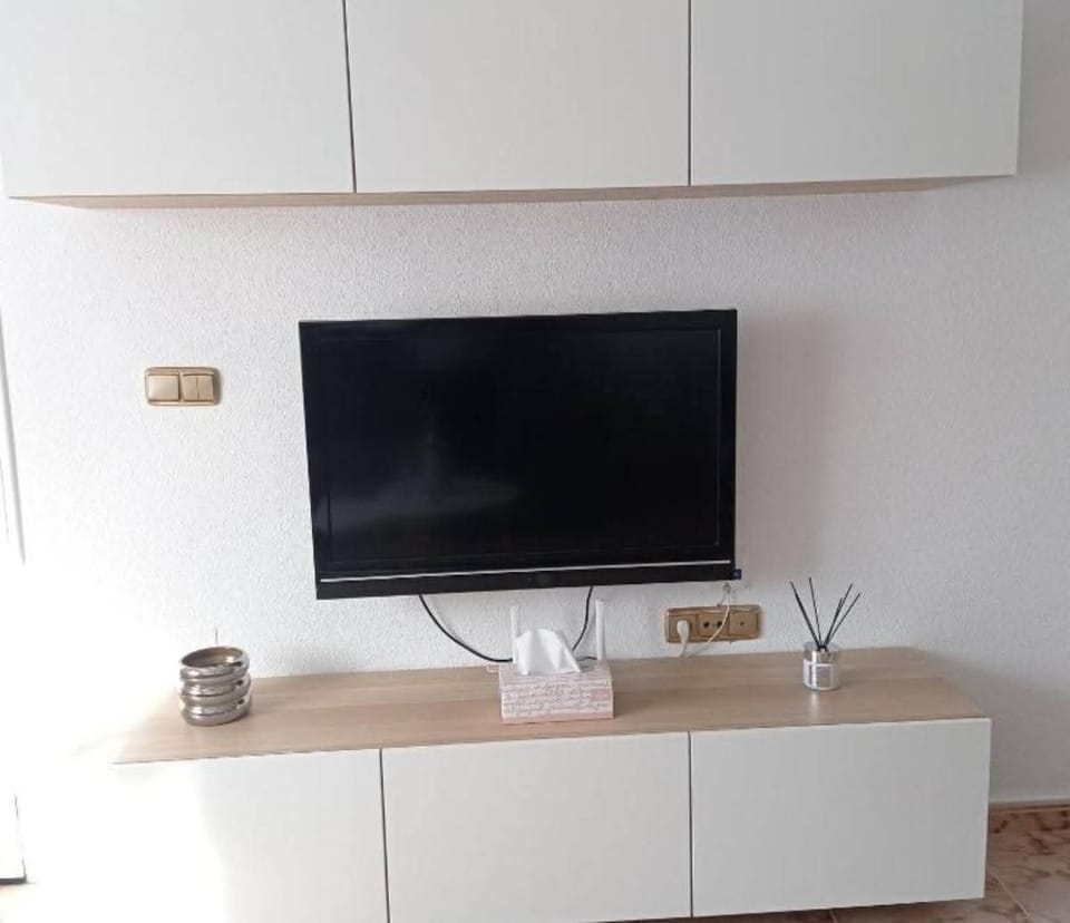 Television
