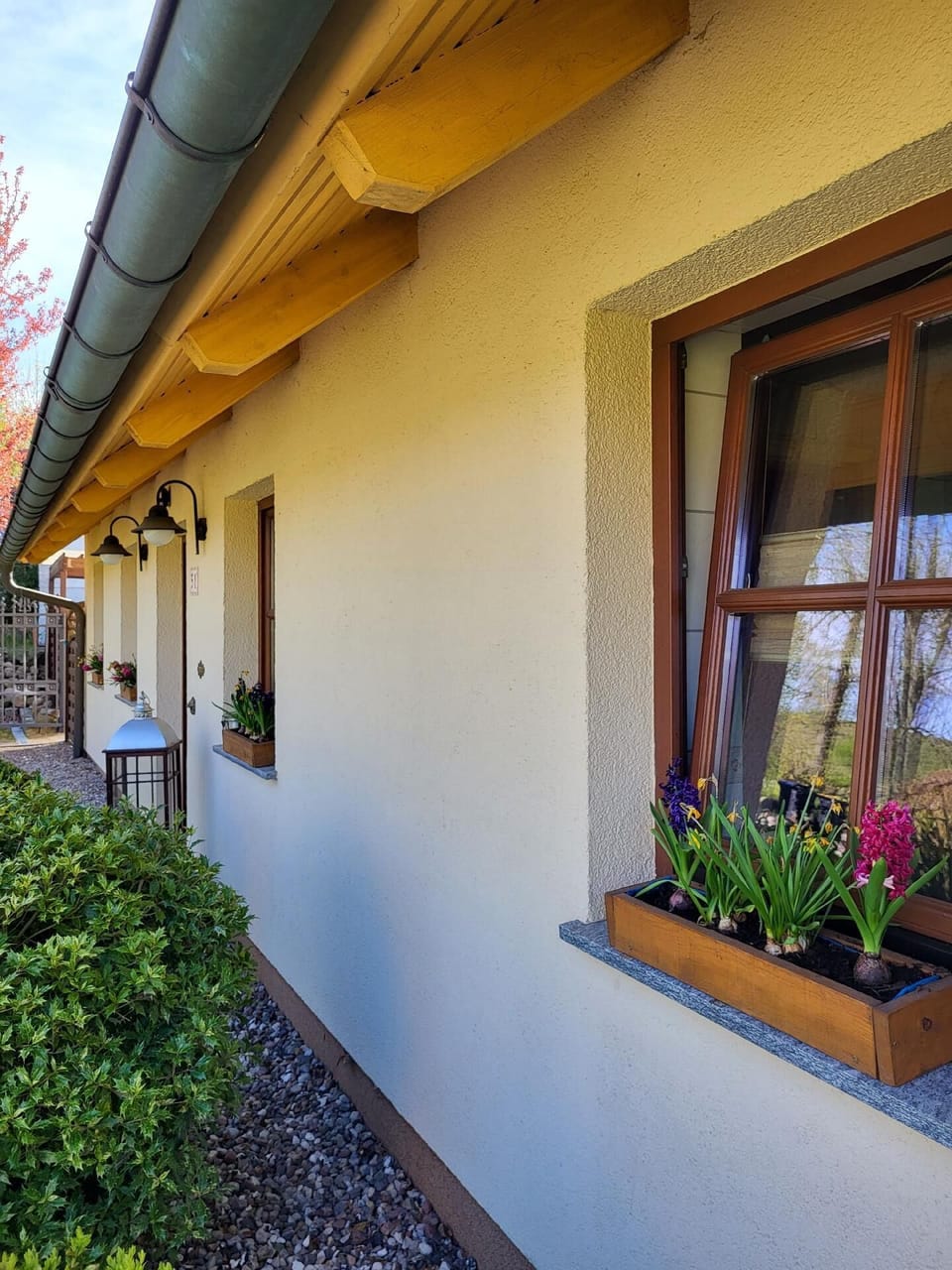 Exterior detail