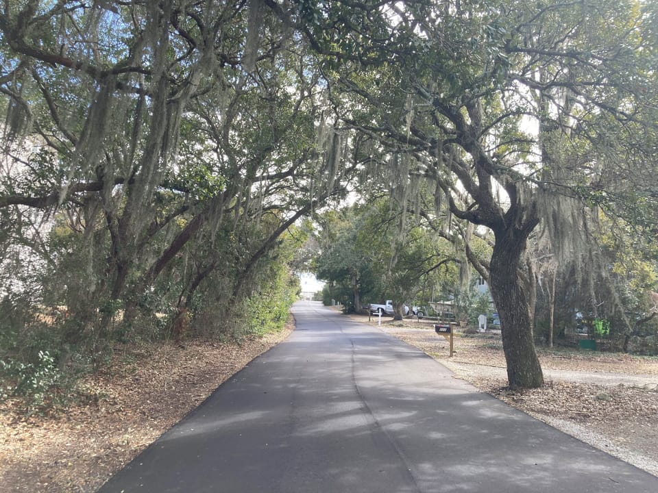 To enter the neighborhood, you'll be greeted by stunning trees with Spanish moss