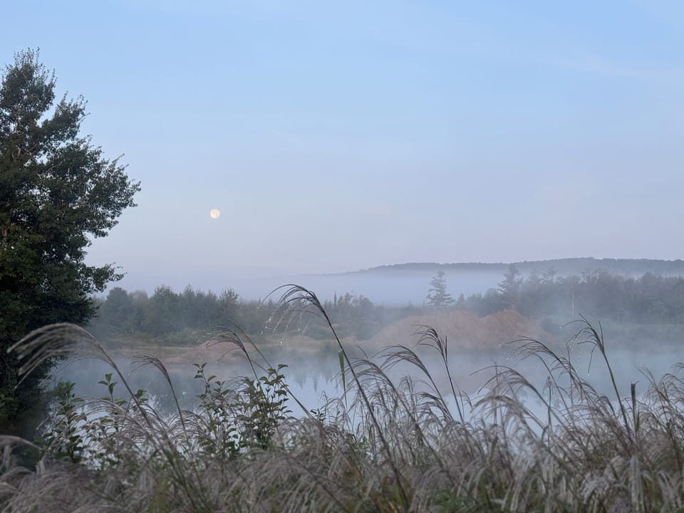 Typical view from Chalet Blu