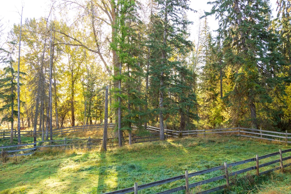 A peaceful spot to watch the local wildlife graze.