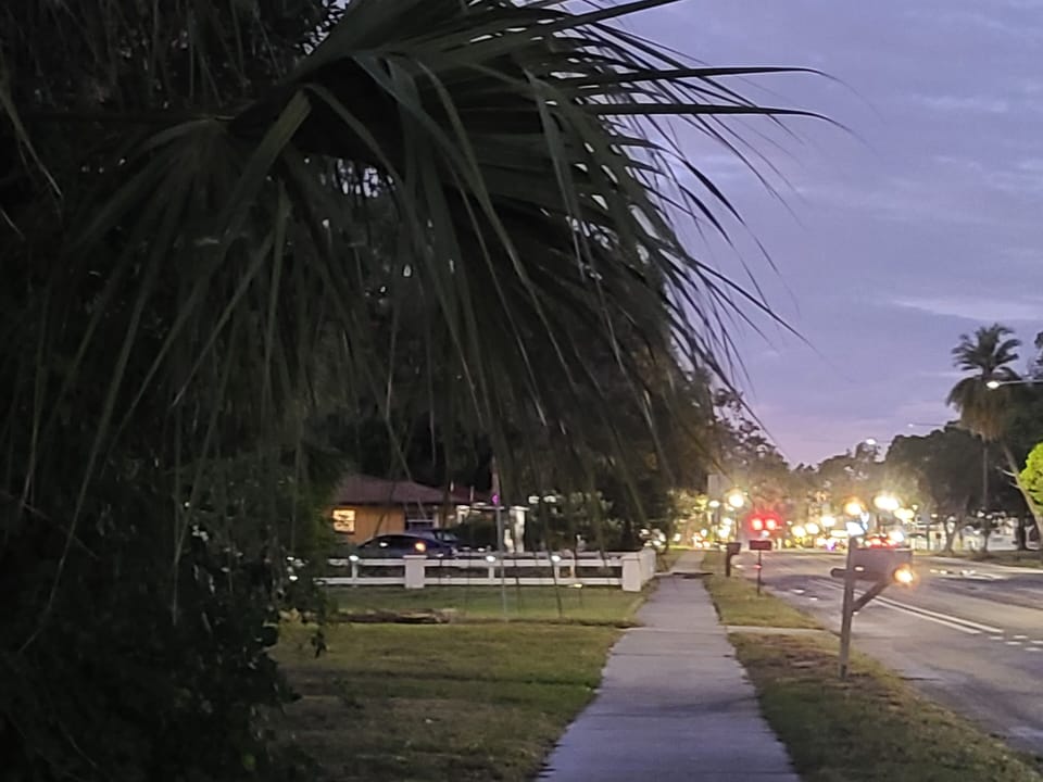 View of the Downtown New Nort Richy from the house.