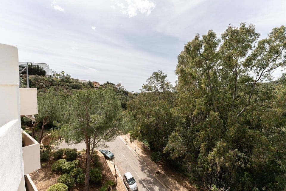 View from Holiday Home [summer]