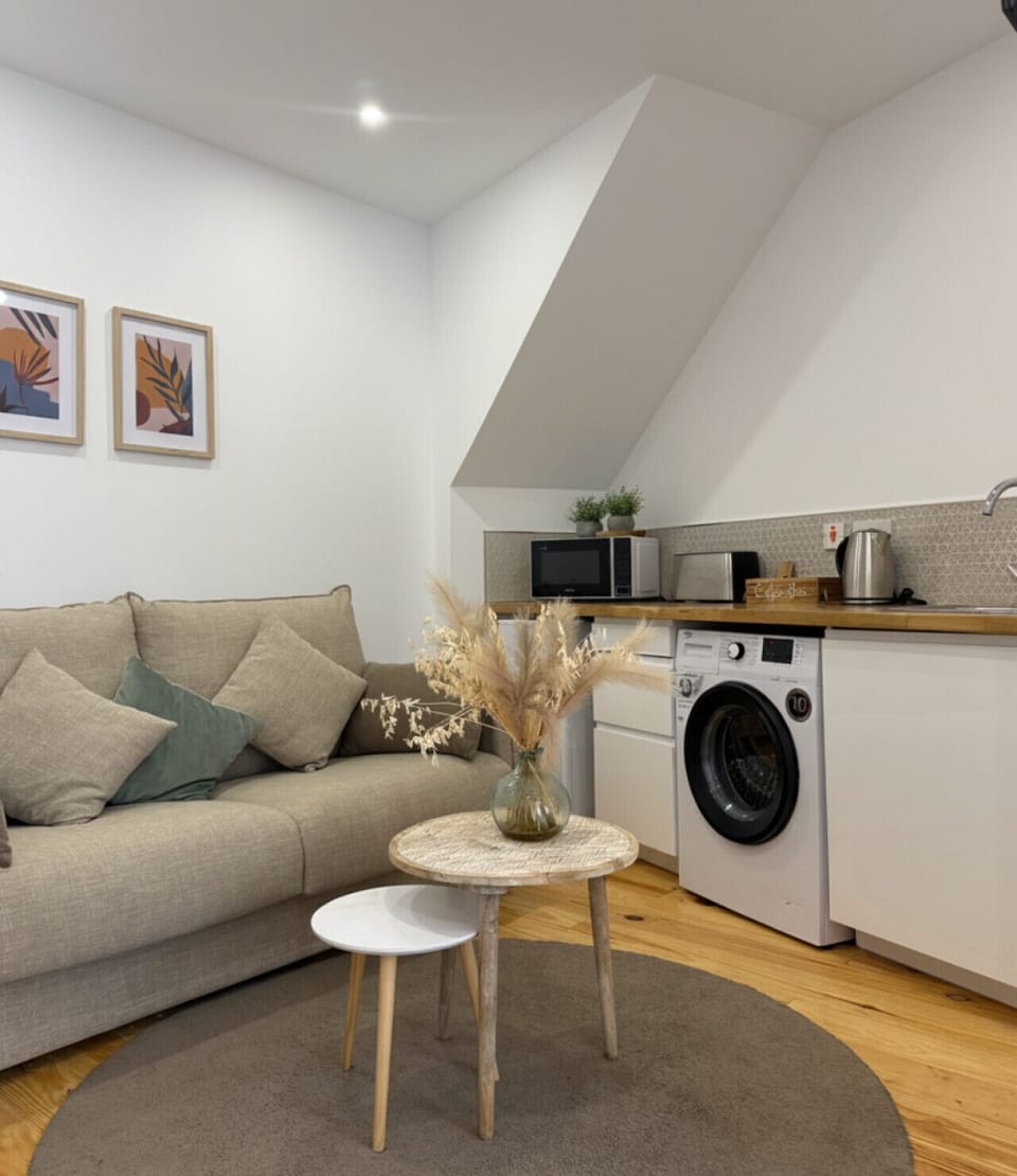 Open space: living and kitchenette