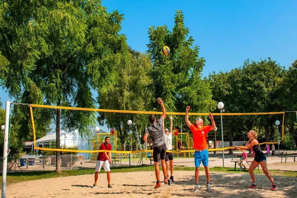 Sport court